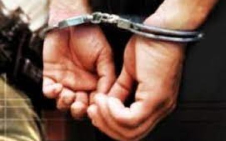 Монголын иргэн онгоцонд согтуурч Астанад саатуулагджээ