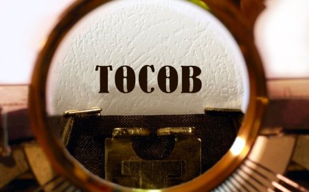 Улсын нэгдсэн төсвийн нийт орлого өмнөх оноос 37 хувиар өсжээ