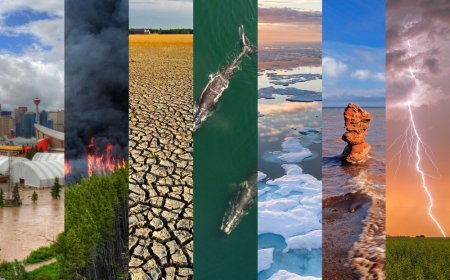 Байгалийн гамшгийн хохирлыг арилгахад зориулж нэг тэрбум 820 сая гаруй төгрөг зарцуулна