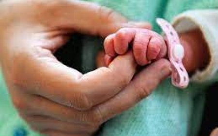 Эхний хагас жилд 33 мянга гаруй хүүхэд мэндэлжээ