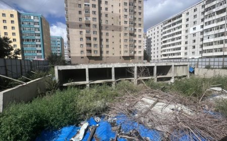 Барилгын суурийн зориулалтаар зөвшөөрөлгүй ухсан нүхийг булна