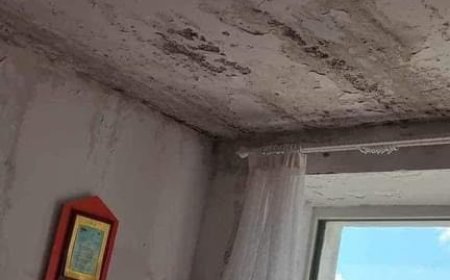 100 жил тэмдэглэх болохоор мөнгөтэй болчдог хүүхдийн цэцэрлэг засах болохоор мөнгөгүй төр