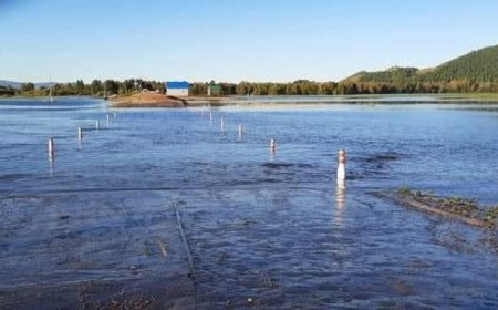 Он гарснаас хойш нийслэлийн хэмжээнд тохиолдсон гамшиг ослын улмаас ₮5 тэрбумын хохирол учирчээ