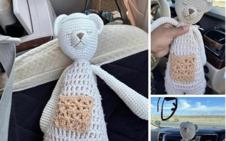 Монголд гээсэн бамбаруушийг нь Канад руу явуулсанд талархлаа илэрхийлэв