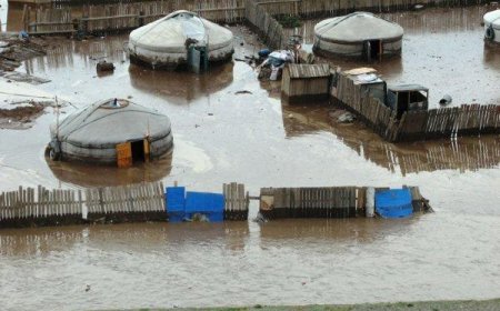 Дарь-Эхэд үерт өртсөн 280 өрх бүрд таван сая төгрөгийн тусламж үзүүлэхээр шийдвэрлэлээ