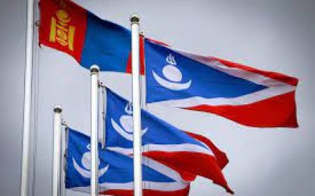 Ардчилсан эмэгтэйчүүдийн холбоо өнөөдөр тэргүүнээ сонгоно