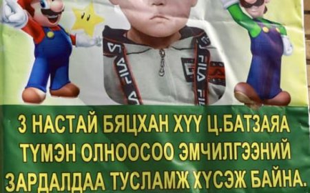 ХОЙД ЭЦЭГТЭЭ ЗОДУУЛЖ ХҮНД ГЭМТСЭН 3 НАСТАЙ ХҮҮГИЙН ЭЭЖИЙГ 300 МЯНГАН ТӨГРӨГӨӨР ТОРГОВ