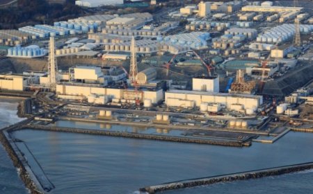 Фүкүшимагийн усыг далайд асгаснаас хойш анх удаа цацрагийн тест хийлээ