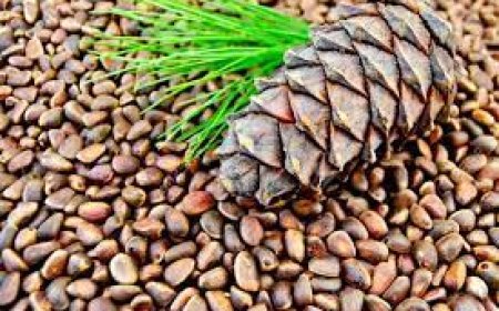 Самарт явсан иргэн амиа алджээ