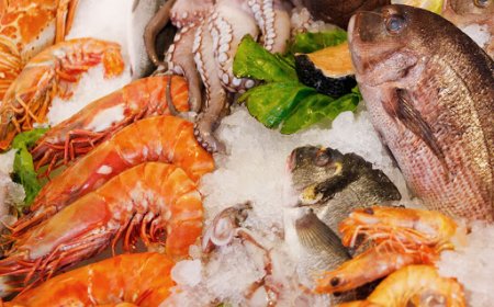 Загас идэх нь аюулгүй гэдгийг батлаж харуулах  хүсэлтэй улс төрчдийн  эхний алхмыг БНСУ-ын ерөнхийлөгч  Юн Сук Ёл хийв