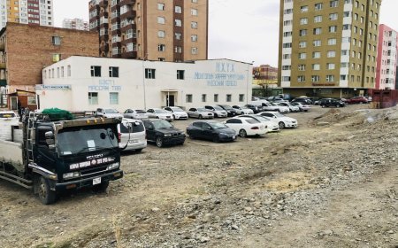 Нийслэлийн Засаг даргын орлогч З.Төмөртөмөө  "Аятайхан байгаарай! Чи хүний нүүр харах уу?" гэж  доромжилжээ