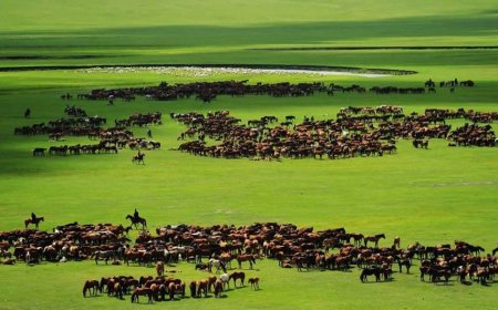 Өнөөдөр ихэнх нутгаар цаг агаар тогтуун, дулаахан байна