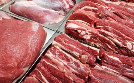 Үхрийн ястай махны үнэ 1.6 хувиар нэмэгджээ