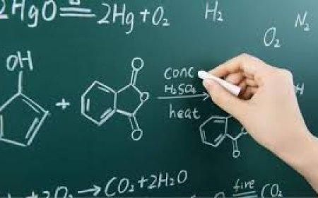 15 жилээс дээш хугацаанд тасралтгүй ажилласан багшийн нэг хүүхдийг их сургуульд үнэгүй сургах болов