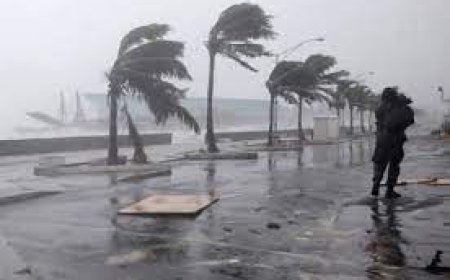 Өнөөдөр Хонг Конгийг  хүчтэй хар салхи дайрна