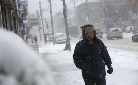 Канад улсын зүүн бүсийн нутгаар анхны цас оржээ