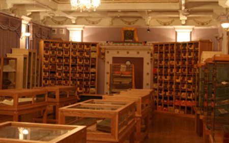 Үндэсний номын сан үнэт ховор номуудыг олон нийтэд үнэ төлбөргүй толилуулна