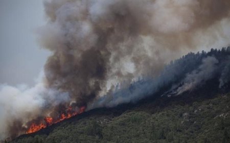 Увс аймгийн Цагаанхайрхан суманд ой хээрийн түймэр гарч, хоёр га талбай шатжээ