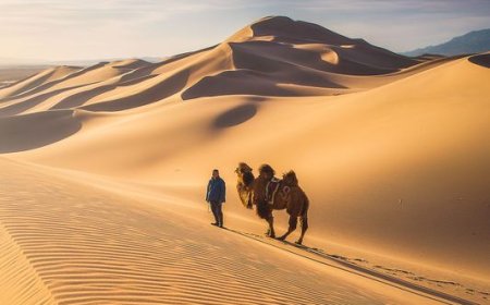 Алтайн өвөр говиор +36 градус хүрч халжээ
