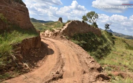 Хятадын цагаан хэрэм сэтэлсэн иргэдийг баривчилжээ
