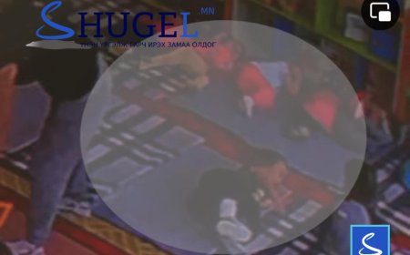 Цэцэрлэгийн туслах багш 2 настныг зодсон нь нотлогдож, эрүүгийн хэрэг үүсгэжээ