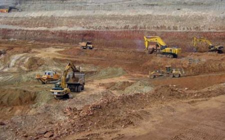 "Халзан бүргэдэй"-н ордод хайгуул хийхийг Засгийн газар түр зогсоолоо