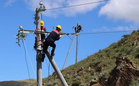 ДӨРВӨН ДҮҮРЭГТ ЦАХИЛГААН ХЯЗГААРЛАНА