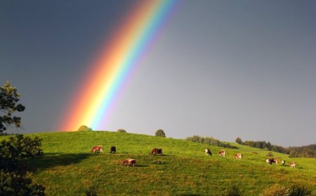 Улаанбаатарт бага зэргийн бороотой, 19 хэм