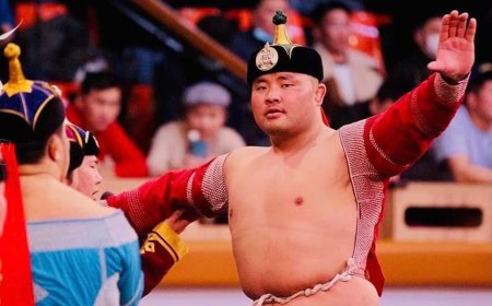 Улсын арслан М.Бадарч осолд орж хүнд гэмтжээ