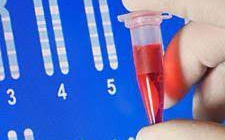 Эр бэлгийн эс, өндгөн эсийн оролцоогүй үр хөврөл ургуулж чаджээ