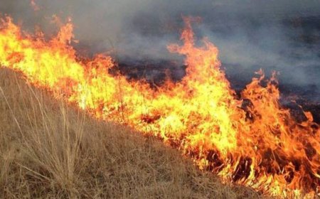 Сүхбаатар аймгийн Эрдэнэцагаан суманд ой хээрийн түймэр гарчээ