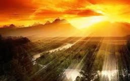 Улаанбаатарт 24 хэм дулаан