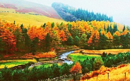 Улаанбаатарт багавтар үүлтэй, бороо орохгүй 16 хэм