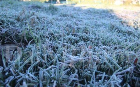 Уулархаг нутгаар цочир хүйтэрнэ