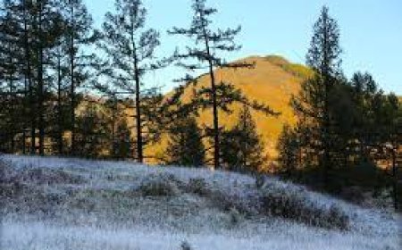 Өнөө шөнө Төв, Сэлэнгэ, Хэнтий, Дорнод аймгийн нутгаар хөрсөн дээр цочир хүйтэрнэ