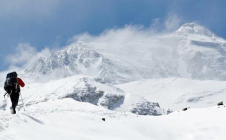 Шинэ Зеландын уулчин 600 метрийн өндрөөс унаад амьд үлджээ