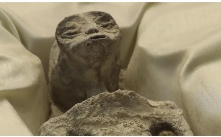 “Харь гаригийн хүний цогцос”-ыг МексикийнКонгрессийн сонсголд танилцуулжээ