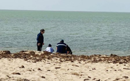 Буйр нуурын элсний нүүдэл, цөлжилтийн мониторингийн ажлыг хийжээ