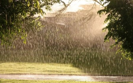 Төвийн нутгаар бороо үргэлжлэн орно