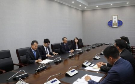 БНСУ-ын хил дээрээс иргэдийг буцааж буй асуудалд онцгойлон анхаарч, хүмүүнлэгийн үүднээс хандаж ажиллана