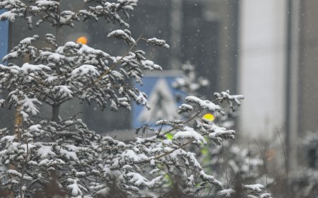 Улаанбаатарт бороо орохгүй, 19 хэм дулаан