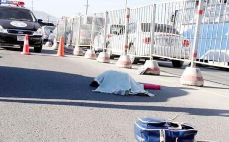 Согтуу жолооч хурдтай явж байсны улмаас хоёр сургагч дайруулж нэг нь нас баржээ