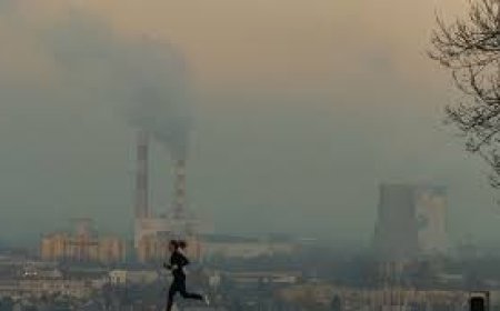 Агаарын бохирдол жилд 400 мянган хүний аминд хүрч байна