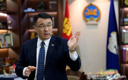 Хотын дарга Д.Сумъяабазарын олсон хоёр "муми" яасан бэ?