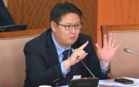 Ш.Раднаасэдийн бие төлөөлөгч Д.Наранхүүг шөнө Улаанбаатарт авчирчээ