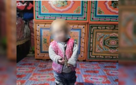 "Эцэг нь тэжээж чадахгүй үрчлүүлнэ" гэх мэдээллийг шалгаж эхэллээ