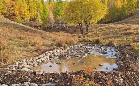 Зэрлэг амьтдад зориулан хөв цөөрөм хийжээ