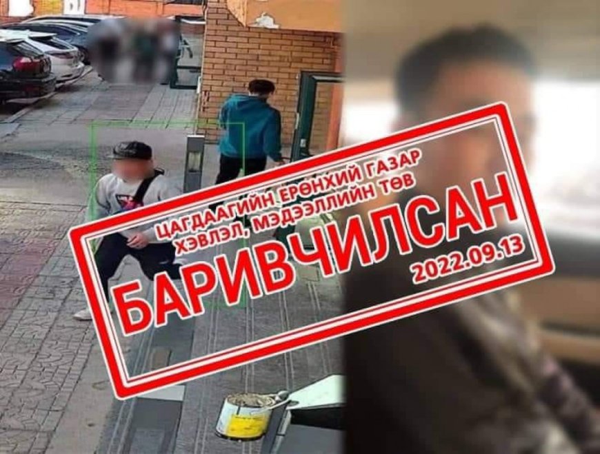 13 настай охины биед халдаж, гар утсыг нь дээрэмджээ