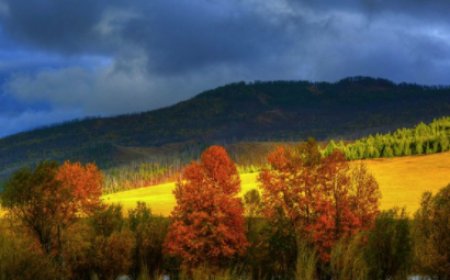 Улаанбаатарт 10 хэм дулаан