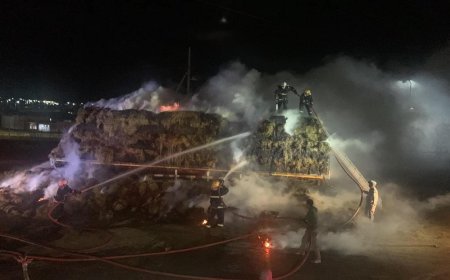 НАЛАЙХ ДҮҮРЭГТ ШАТАХУУН ТҮГЭЭХ СТАНЦ ДЭЛБЭРЭХ ЭРСДЭЛТЭЙ БАЙСНЫГ АЮУЛГҮЙ БОЛГОЖЭЭ